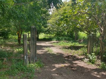 Rancho en Venta en Tapanatepec Oaxaca