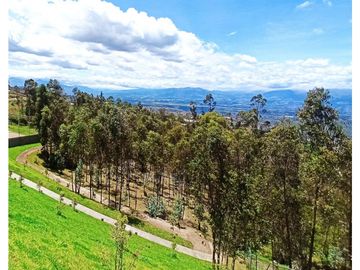 Departamento - Quito
