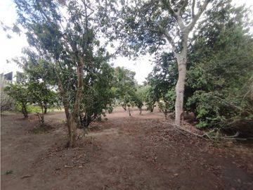 Casa - Puembo