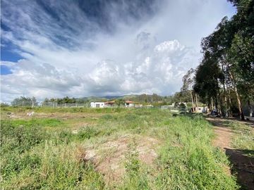 Pifo, 2 casas, 346 m2, terreno 3535 m2, parqueaderos