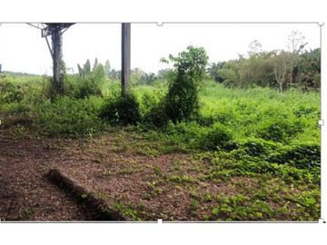 El Empalme, Carlos Julio Arrosemena, Terreno, 10000, galpón de 1000 m2