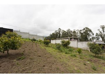 Cayambe, Terreno en venta, 1860 m2, construcción de 140 m2, arboles frutales