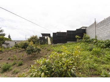 Cayambe, Terreno en venta, 1860 m2, construcción de 140 m2, arboles frutales