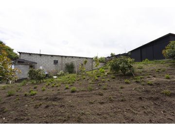 Cayambe, Terreno en venta, 1860 m2, construcción de 140 m2, arboles frutales