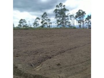 Cochasqui, Terreno en venta, 614.300 m2, cos total 60, frente 465 m
