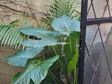 PH en venta de 2 dormitorios c/ cochera en Ituzaingó Centro