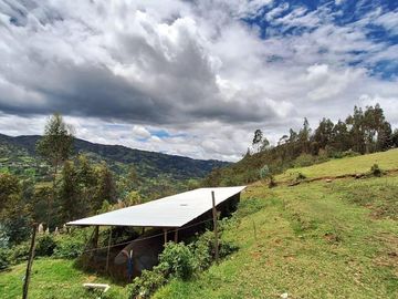 HERMOSA FINCA EN VENTA, SECTOR SANTA ANA