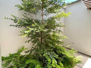 HERMOSA CASA EN VENTA, SECTOR MISICATA