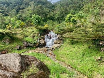 HERMOSA FINCA EN VENTA, SECTOR BAÑOS