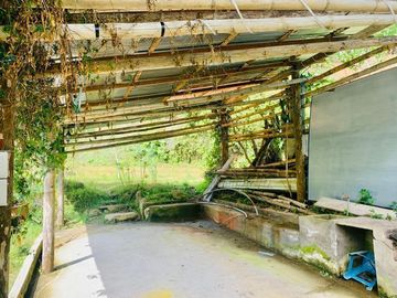HERMOSA FINCA EN VENTA, SECTOR BAÑOS