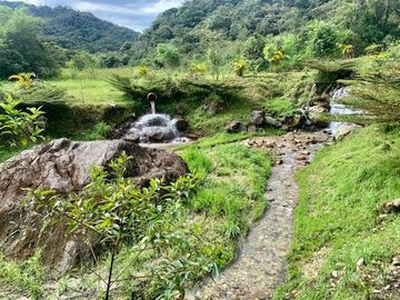 HERMOSA FINCA EN VENTA, SECTOR BAÑOS