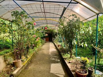 HERMOSA FINCA EN VENTA, SECTOR BAÑOS