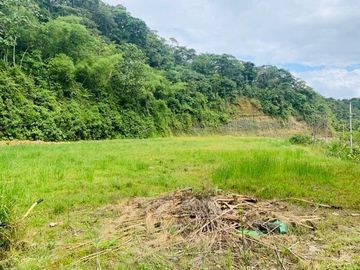 HERMOSA FINCA EN VENTA, SECTOR BAÑOS