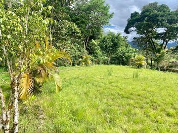 HERMOSA FINCA EN VENTA, SECTOR BAÑOS