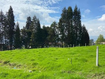 HERMOSO TERRENO EN SAN JOAQUIN