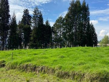 HERMOSO TERRENO EN SAN JOAQUIN