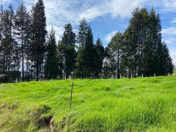 HERMOSO TERRENO EN SAN JOAQUIN