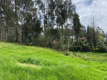HERMOSO TERRENO EN SAN JOAQUIN
