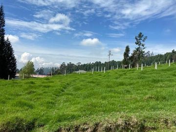 HERMOSO TERRENO EN SAN JOAQUIN
