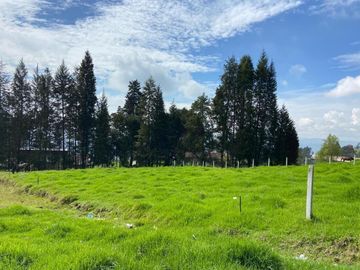 HERMOSO TERRENO EN SAN JOAQUIN