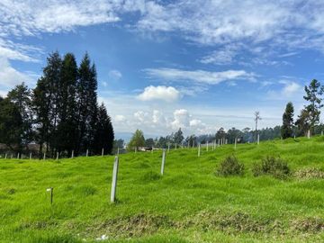 HERMOSO TERRENO EN SAN JOAQUIN