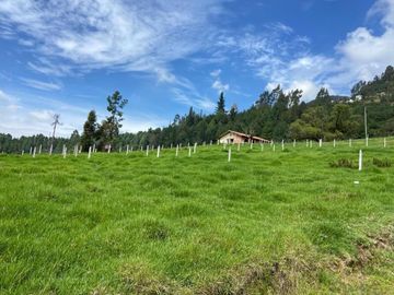 HERMOSO TERRENO EN SAN JOAQUIN