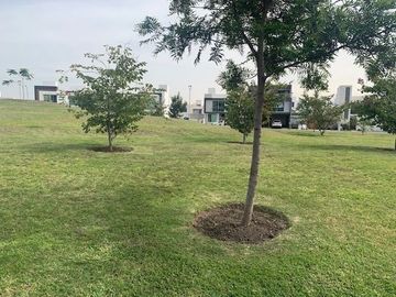 CASA EN VENTA EN CONDESA JURIQUILLA CONDESA