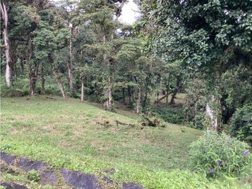 SE VENDE TERRENO EN ALTOS DEL MARIA UBICADO EN LA RIOCA 2237 m2