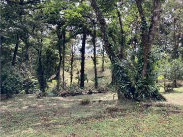 SE VENDE TERRENO EN ALTOS DEL MARIA UBICADO EN LA RIOCA 2237 m2