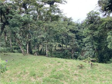 SE VENDE TERRENO EN ALTOS DEL MARIA UBICADO EN LA RIOCA 2237 m2