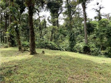 SE VENDE TERRENO EN ALTOS DEL MARIA UBICADO EN LA RIOCA 2237 m2