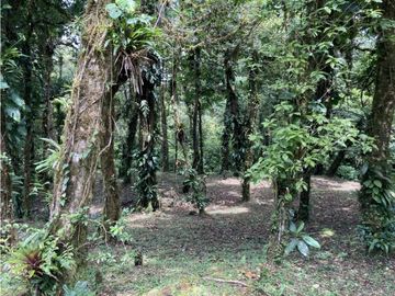 SE VENDE TERRENO EN ALTOS DEL MARIA UBICADO EN LA RIOCA 2237 m2