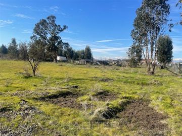 Parcela en Venta en RAUCO