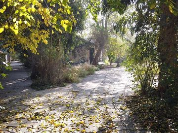 Terreno Construccion en Venta en Vicente Perez Rosales & Principe de Gales