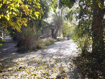 Terreno Construccion en Venta en Vicente Perez Rosales & Principe de Gales