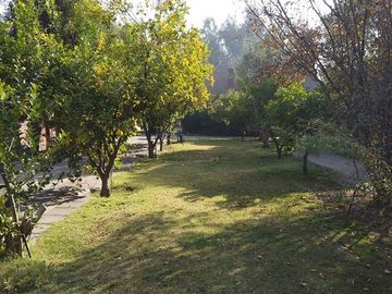 Terreno Construccion en Venta en Vicente Perez Rosales & Principe de Gales