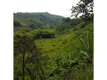 SE VENDE PRECIOSA FINCA EN CONJUNTO CERRADO SECTOR LA MANUELA