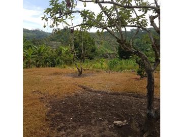 SE VENDE PRECIOSA FINCA EN CONJUNTO CERRADO SECTOR LA MANUELA