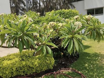venta de terreno en condominio Arbolada Santa Anita