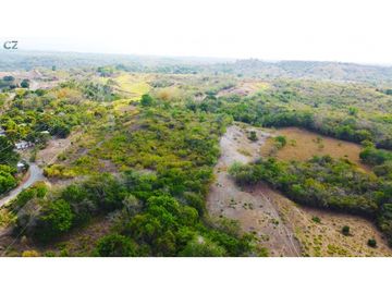 Venta de finca Las uvas San Carlos