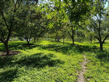 Terreno - Iturbide