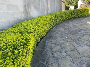 RESIDENCIA EN VENTA EN COLINAS DEL VERGEL, ALLENDE, NUEVO LEÓN