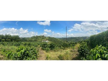 FINCA