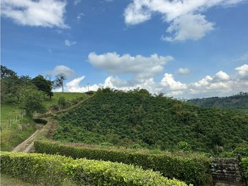 FINCA