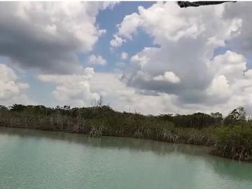 TERRENO EN VENTA, CERCA DE BACALAR