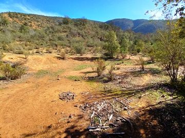 VENTA - (OPORTUNIDAD) Parcela 6,5 hectáreas - Olmué