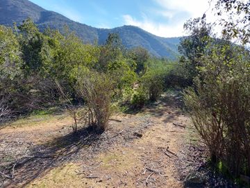 VENTA - (OPORTUNIDAD) Parcela 6,5 hectáreas - Olmué