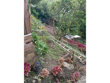 Vendo Casa Campestre Fredonia Antioquia