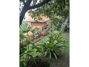 Vendo Casa Campestre Fredonia Antioquia