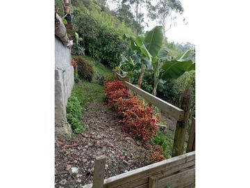 Vendo Casa Campestre Fredonia Antioquia